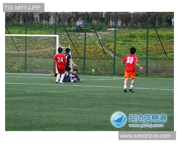 足球明星齐聚沈阳激情踢球引发球迷热潮盛况空前