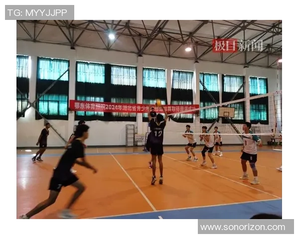 武汉排球队在全国排球节奏排行榜中荣获第六名的佳绩引发热议